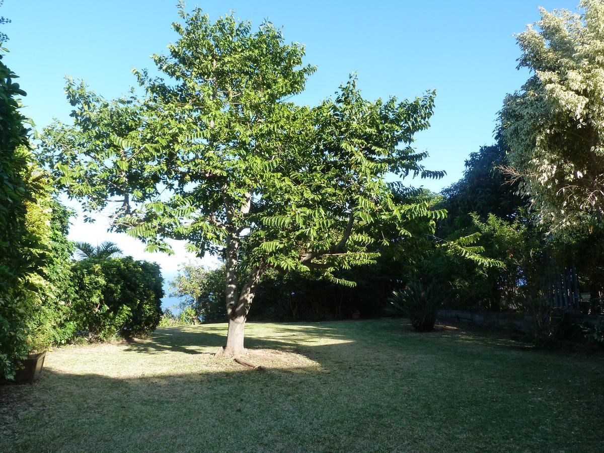 Villa Flamboyant Le Portail Kültér fotó